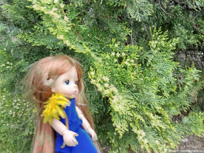 Сочи. Море и цветы (3) — Разные шарнирные куклы (не БЖД): редкие