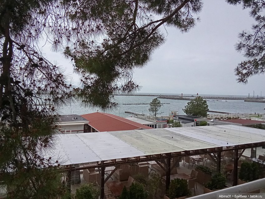 Сочи. Море и цветы (продолжение)