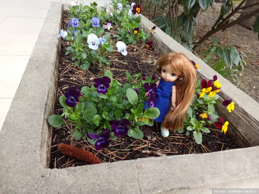 Сочи. Море и цветы (начало)