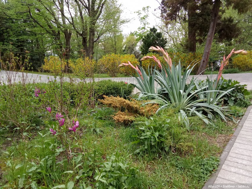 Сочи. Море и цветы (3) — Разные шарнирные куклы (не БЖД): редкие (фото 7)