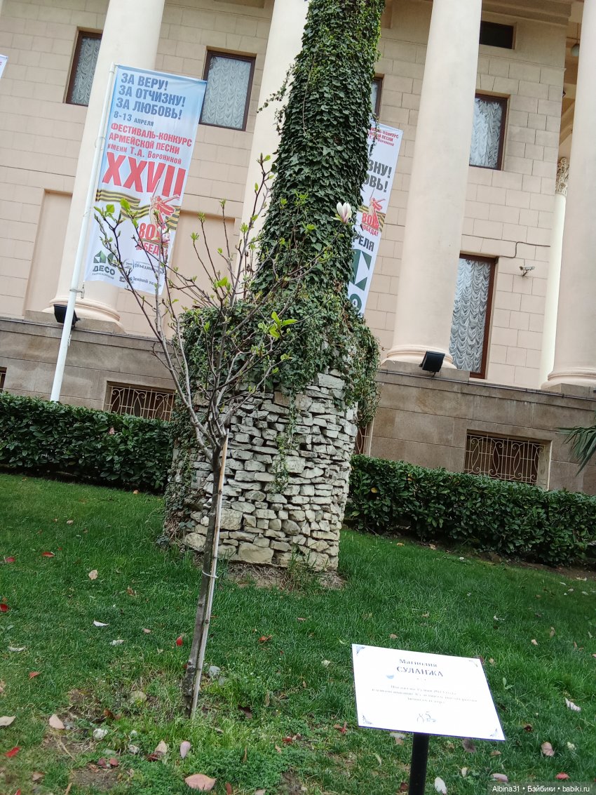 Сочи. Море и цветы (3) — Разные шарнирные куклы (не БЖД): редкие