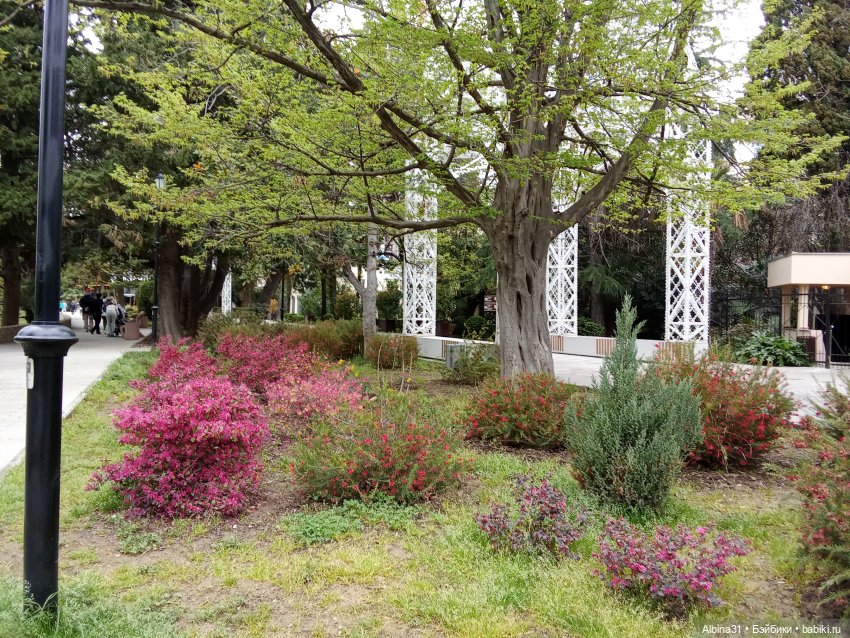 Сочи. Море и цветы (3) — Разные шарнирные куклы (не БЖД): редкие (фото 10)