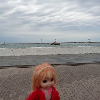 Сочи. Море и цветы (продолжение)