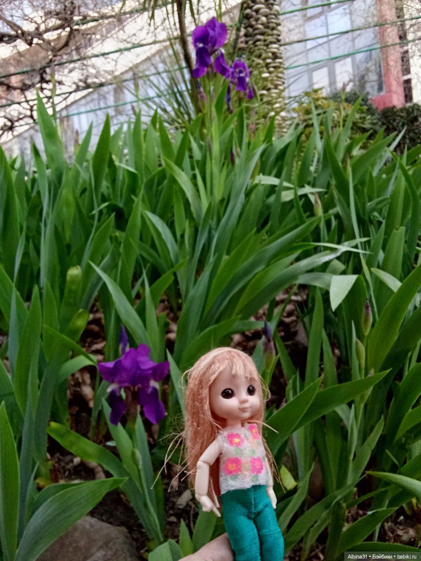 Сочи. Море и цветы (3) — Разные шарнирные куклы (не БЖД): редкие