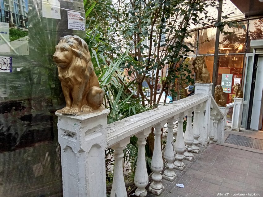 Сочи. Море и цветы (3) — Разные шарнирные куклы (не БЖД): редкие