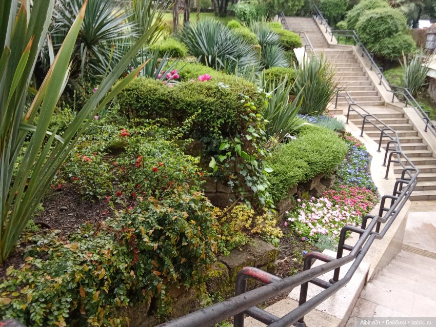 Сочи. Море и цветы (3) — Разные шарнирные куклы (не БЖД): редкие