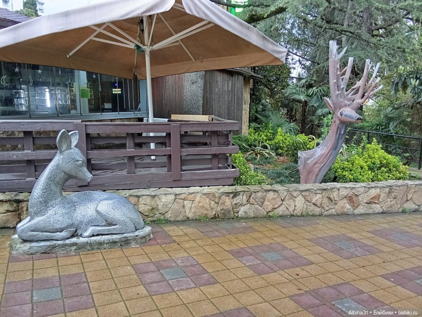 Сочи. Море и цветы (4) — Разные шарнирные куклы (не БЖД): редкие