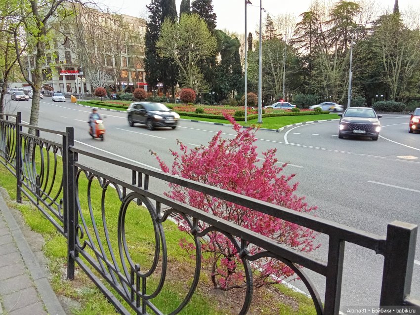 Сочи. Море и цветы (4) — Разные шарнирные куклы (не БЖД): редкие (фото 4)