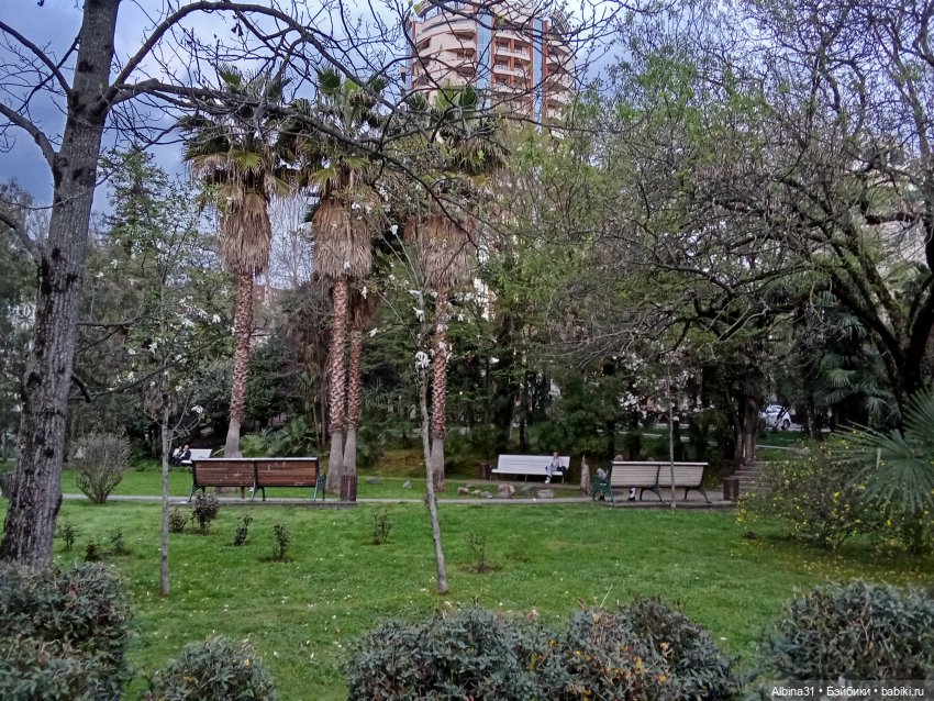 Сочи. Море и цветы (4) — Разные шарнирные куклы (не БЖД): редкие (фото 8)