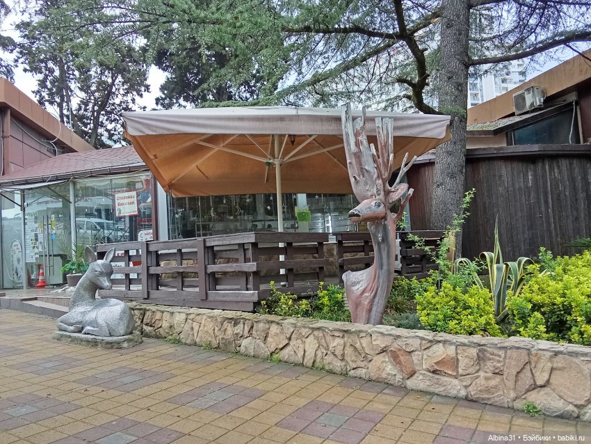 Сочи. Море и цветы (4) — Разные шарнирные куклы (не БЖД): редкие