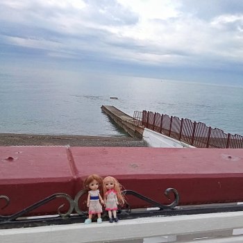 Сочи. Море и цветы (4)