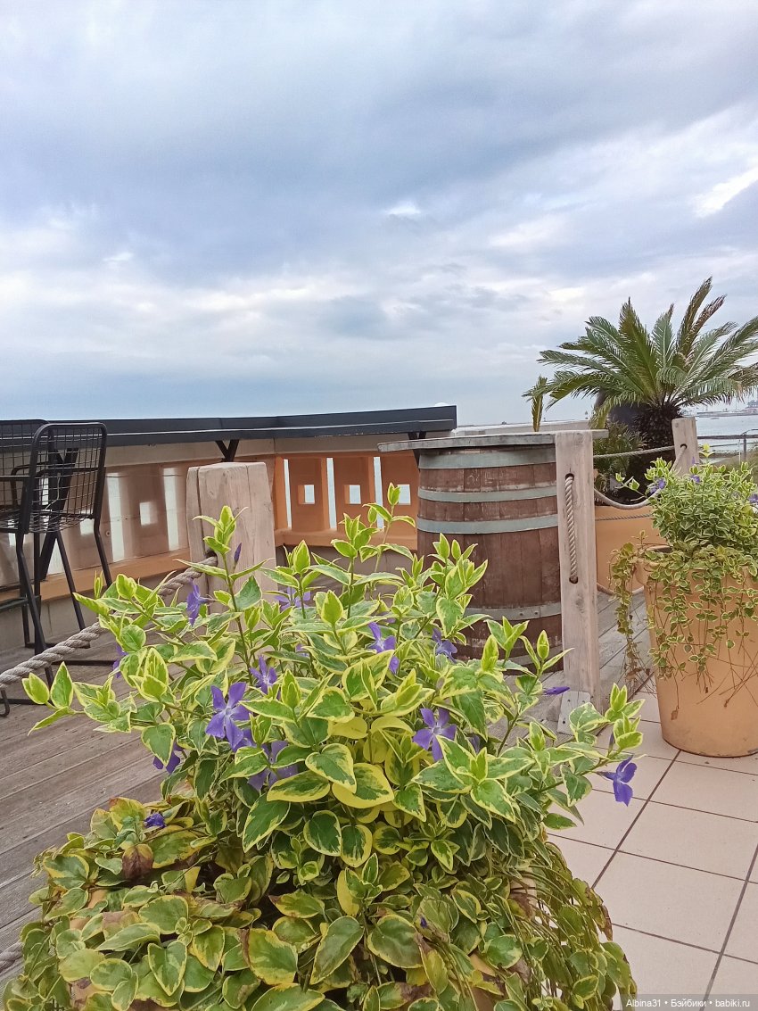 Сочи. Море и цветы (4) — Разные шарнирные куклы (не БЖД): редкие