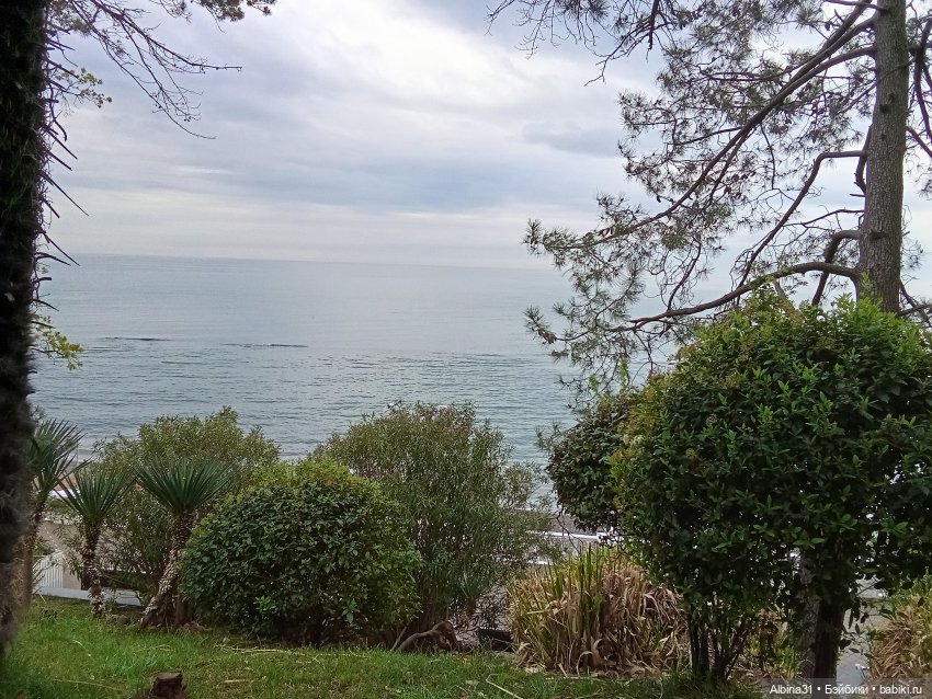 Сочи. Море и цветы (4) — Разные шарнирные куклы (не БЖД): редкие