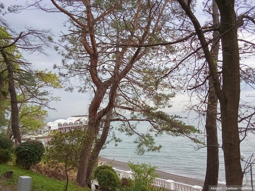 Сочи. Море и цветы (4) — Разные шарнирные куклы (не БЖД): редкие