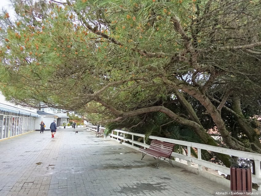 Сочи. Море и цветы (4) — Разные шарнирные куклы (не БЖД): редкие