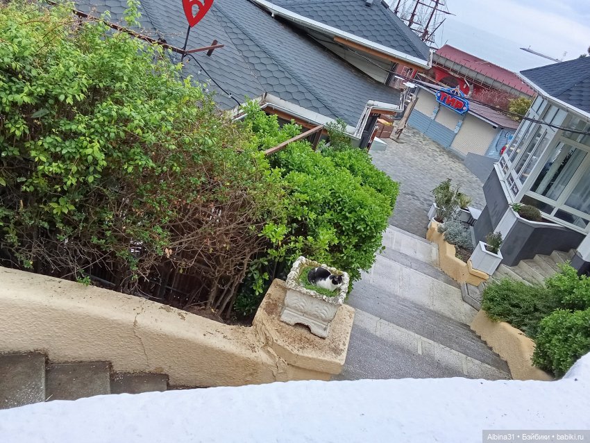 Сочи. Море и цветы (4) — Разные шарнирные куклы (не БЖД): редкие