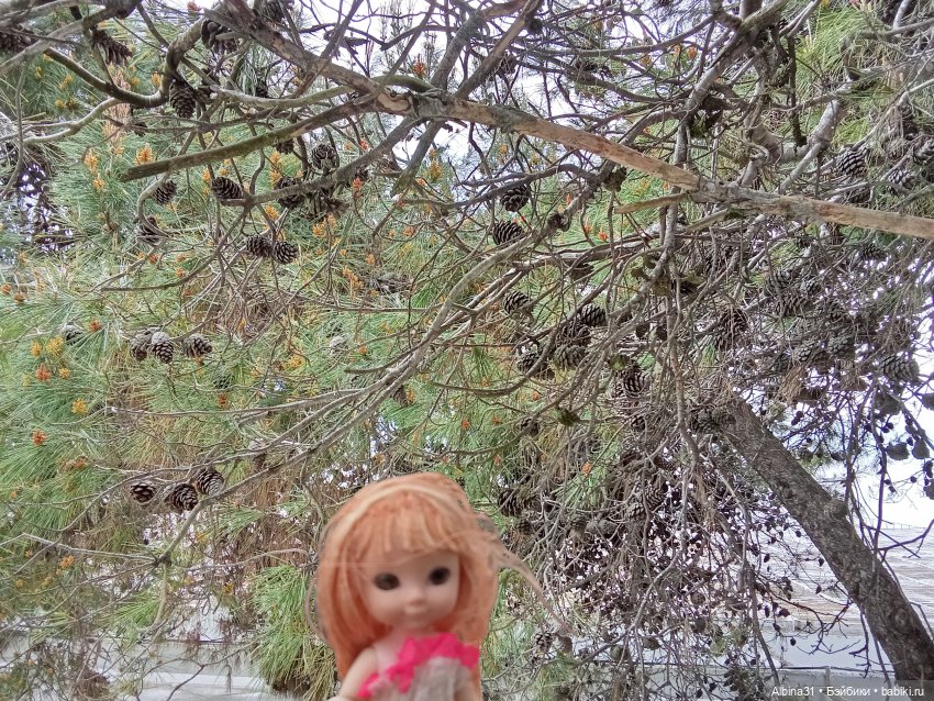 Сочи. Море и цветы (4) — Разные шарнирные куклы (не БЖД): редкие