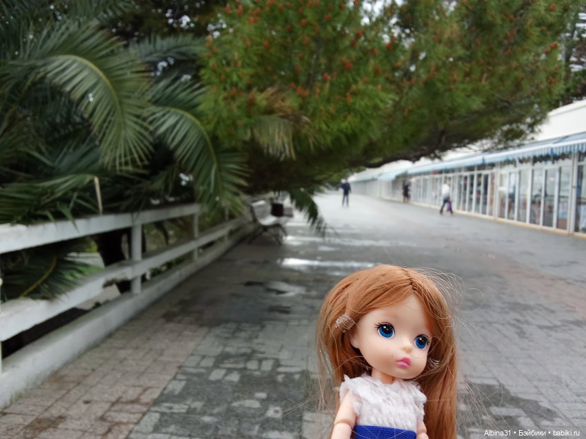 Сочи. Море и цветы (4) — Разные шарнирные куклы (не БЖД): редкие