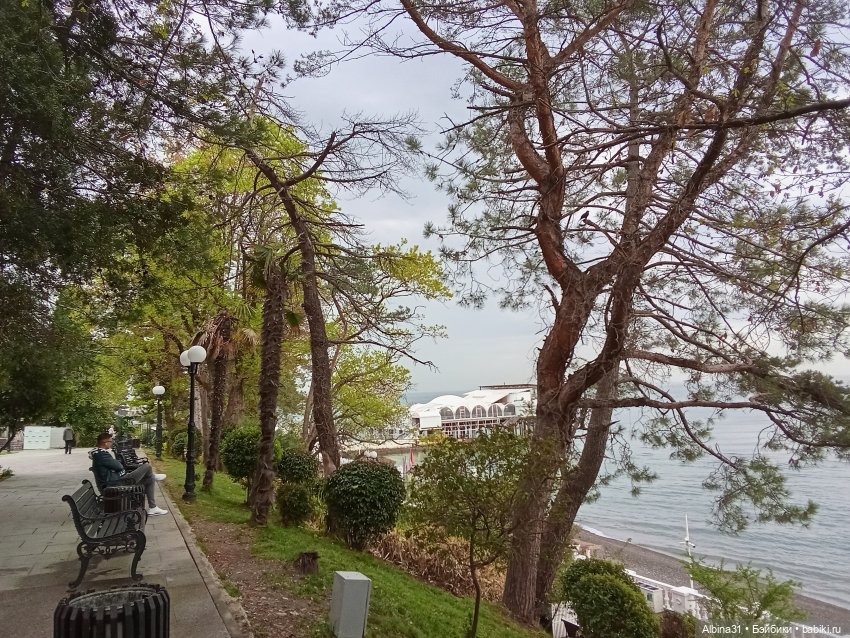 Сочи. Море и цветы (4) — Разные шарнирные куклы (не БЖД): редкие