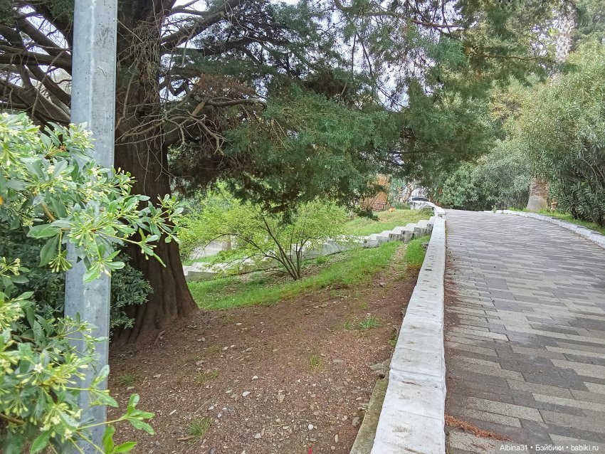 Сочи. Море и цветы (5) — Разные шарнирные куклы (не БЖД): редкие (фото 6)