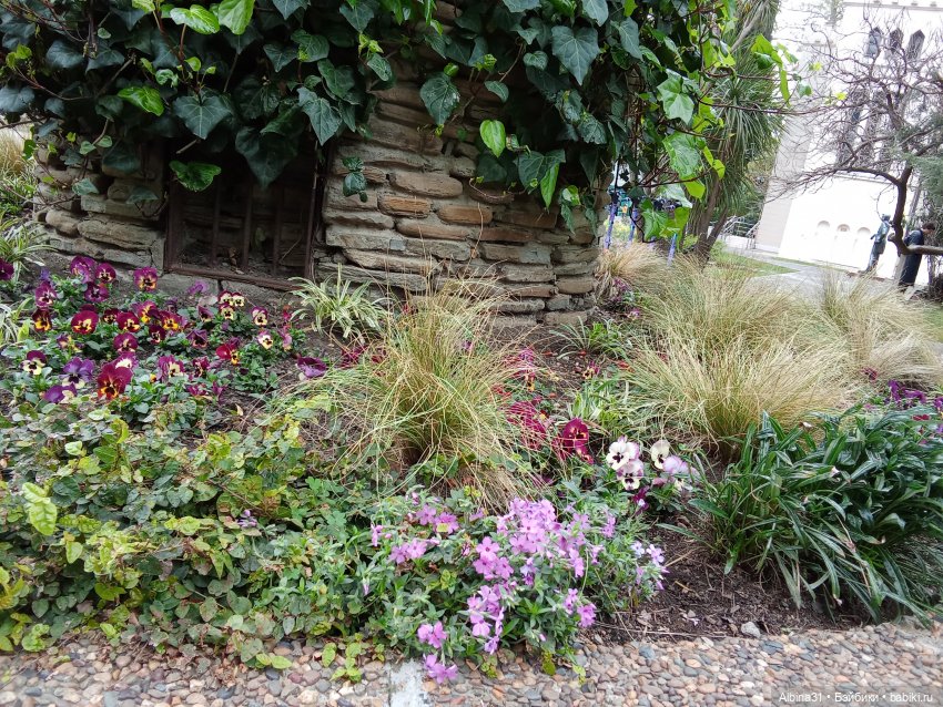 Сочи. Море и цветы (5) — Разные шарнирные куклы (не БЖД): редкие