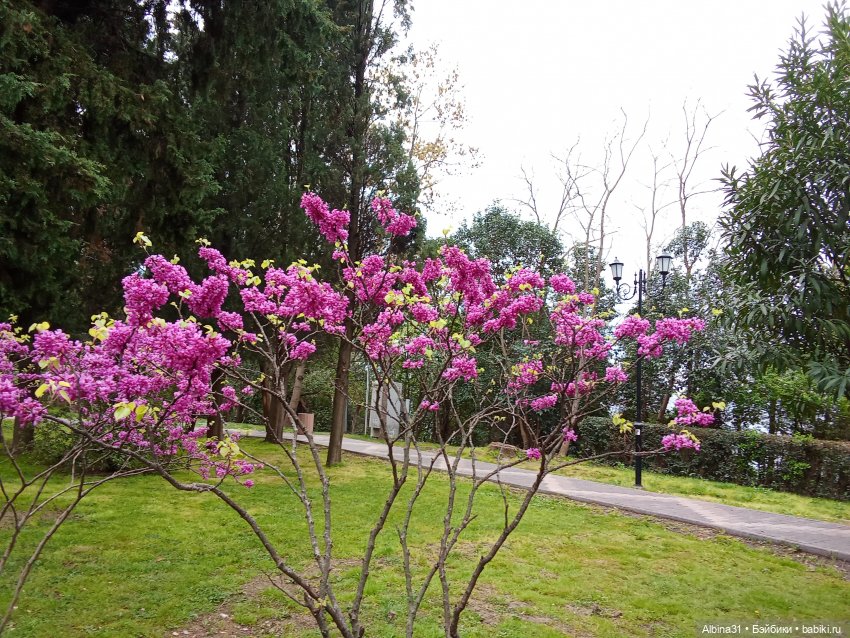 Сочи. Море и цветы (5) — Разные шарнирные куклы (не БЖД): редкие