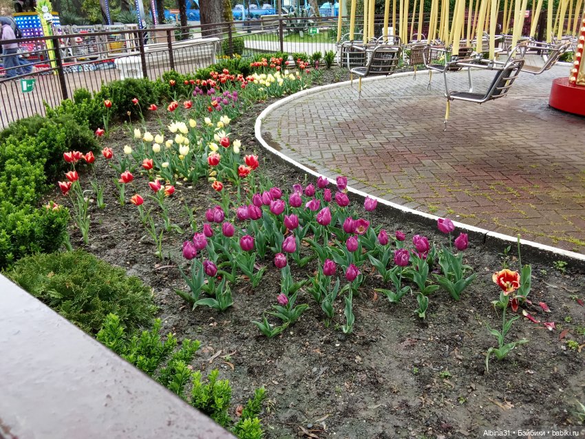 Сочи. Море и цветы (5) — Разные шарнирные куклы (не БЖД): редкие