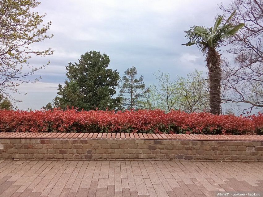 Сочи. Море и цветы (5) — Разные шарнирные куклы (не БЖД): редкие (фото 5)