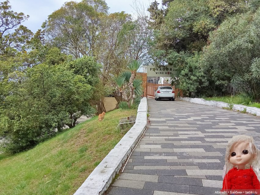 Сочи. Море и цветы (5) — Разные шарнирные куклы (не БЖД): редкие (фото 7)