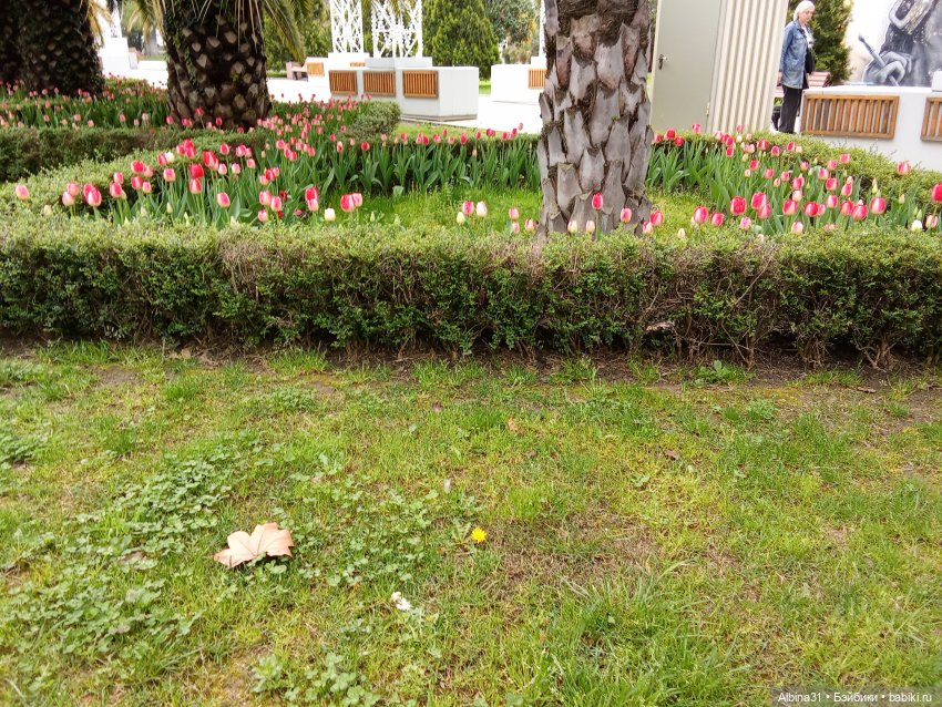 Сочи. Море и цветы (5) — Разные шарнирные куклы (не БЖД): редкие