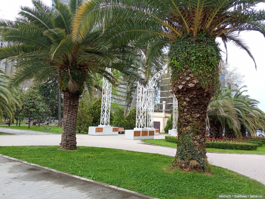 Сочи. Море и цветы (5) — Разные шарнирные куклы (не БЖД): редкие