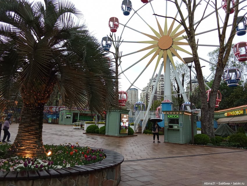 Сочи. Море и цветы (5) — Разные шарнирные куклы (не БЖД): редкие