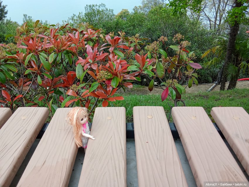 Сочи. Море и цветы (5) — Разные шарнирные куклы (не БЖД): редкие (фото 3)