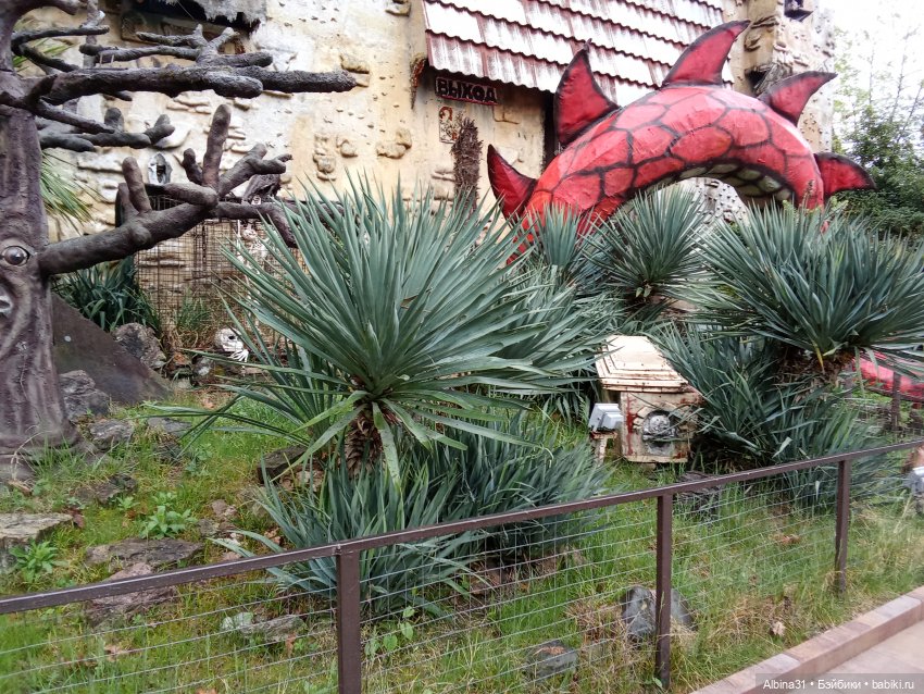 Сочи. Море и цветы (5) — Разные шарнирные куклы (не БЖД): редкие