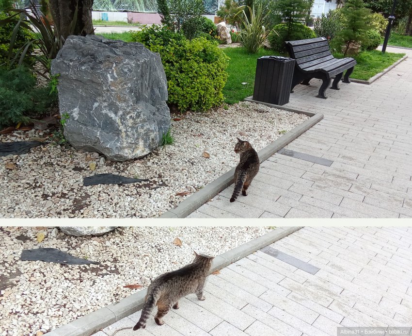 Сочи. Море и цветы (5) — Разные шарнирные куклы (не БЖД): редкие