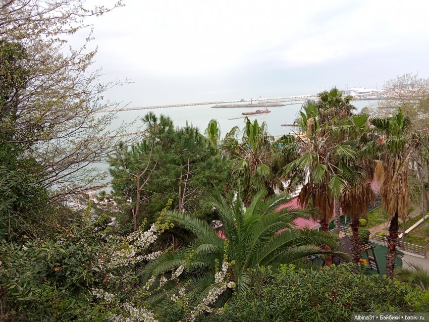 Сочи. Море и цветы (5) — Разные шарнирные куклы (не БЖД): редкие