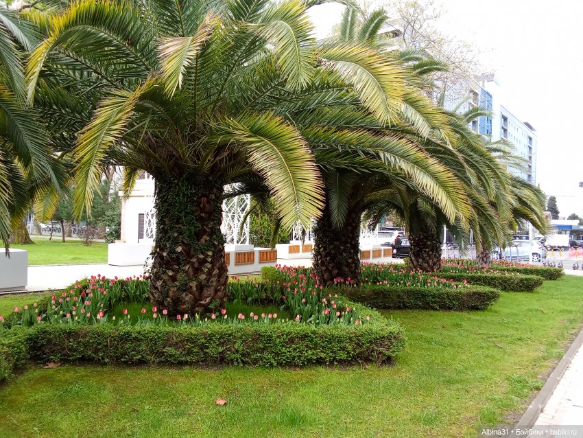 Сочи. Море и цветы (5) — Разные шарнирные куклы (не БЖД): редкие