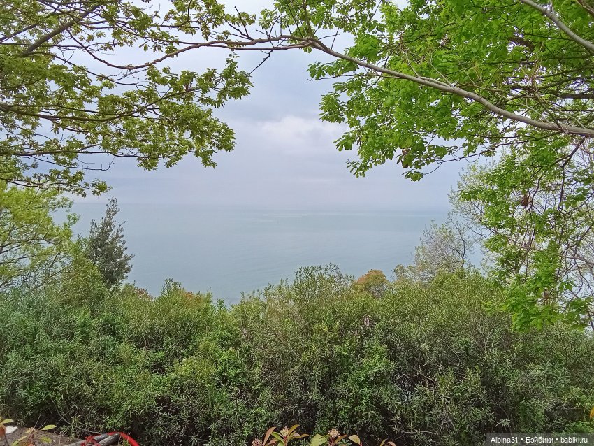 Сочи. Море и цветы (5) — Разные шарнирные куклы (не БЖД): редкие