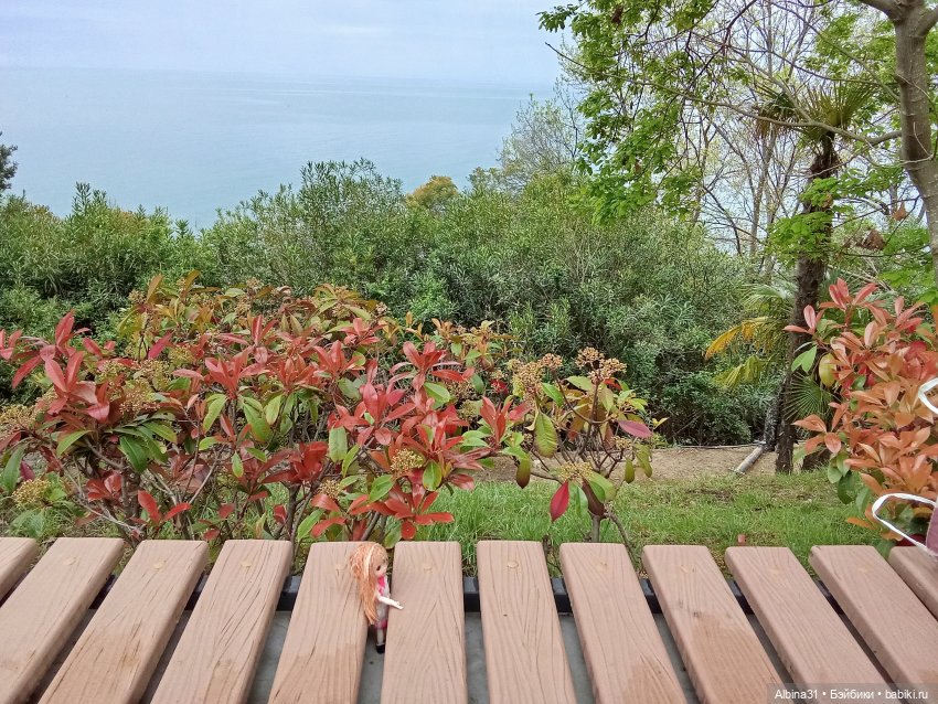 Сочи. Море и цветы (5) — Разные шарнирные куклы (не БЖД): редкие (фото 4)