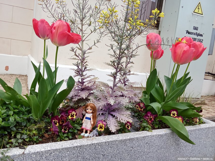 Сочи. Море и цветы (5) — Разные шарнирные куклы (не БЖД): редкие