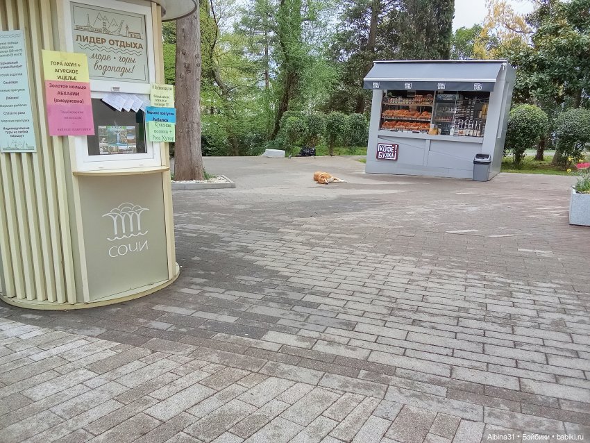 Сочи. Море и цветы (5) — Разные шарнирные куклы (не БЖД): редкие