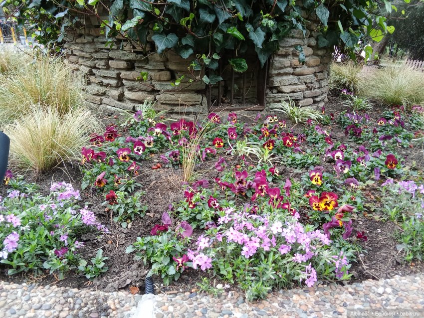 Сочи. Море и цветы (5) — Разные шарнирные куклы (не БЖД): редкие