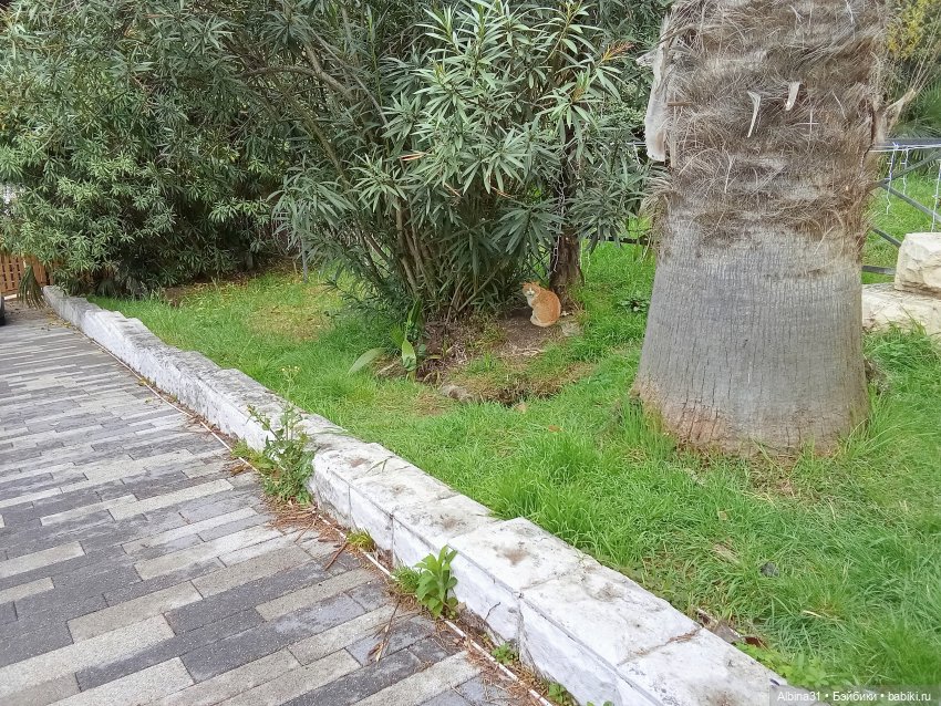 Сочи. Море и цветы (5) — Разные шарнирные куклы (не БЖД): редкие (фото 9)