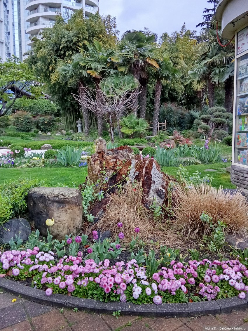 Сочи. Японский сад — Разные шарнирные куклы (не БЖД): редкие (фото 5)