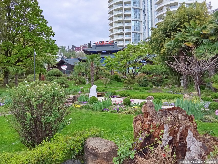 Сочи. Японский сад — Разные шарнирные куклы (не БЖД): редкие (фото 4)