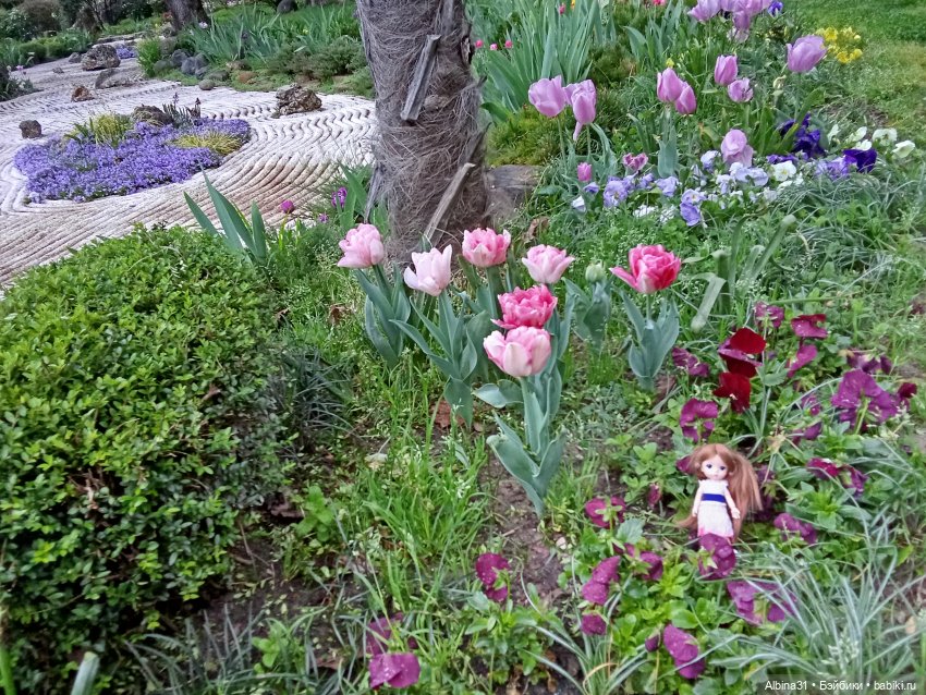 Сочи. Японский сад — Разные шарнирные куклы (не БЖД): редкие