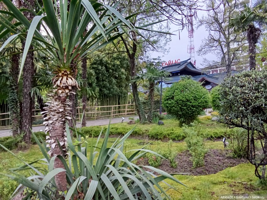 Сочи. Японский сад — Разные шарнирные куклы (не БЖД): редкие (фото 3)