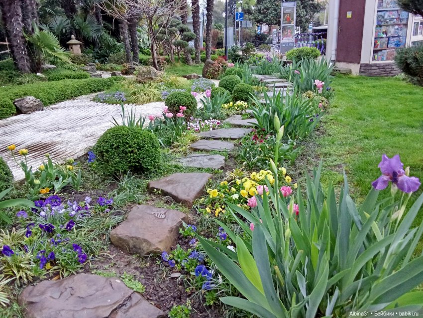 Сочи. Японский сад — Разные шарнирные куклы (не БЖД): редкие (фото 7)