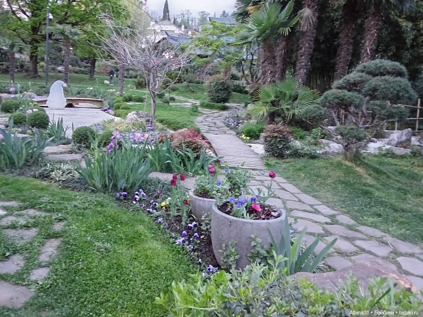 Сочи. Японский сад — Разные шарнирные куклы (не БЖД): редкие