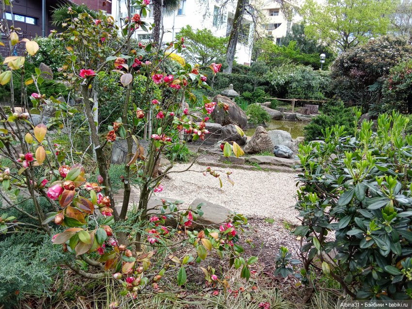 Сочи. Японский сад — Разные шарнирные куклы (не БЖД): редкие